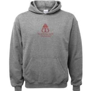   Grey Youth Varsity Washed Logo Hooded Sweatshirt
