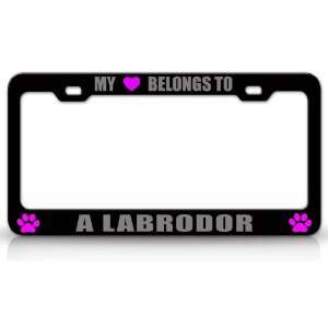 MY HEART BELONGS TO A LABRADOR Dog Pet Steel Metal Auto License Plate 