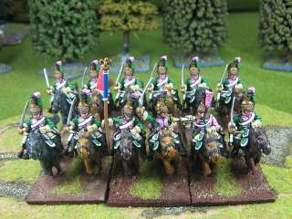 Napoleonic DPS painted Nap French Dragoon GDBFr005aF  