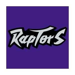    NBA Raptors Replica Shorts   Adult XXL (EA)
