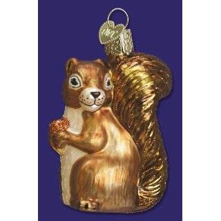  SQUIRREL Woodland Ornament Old World Christmas NEW 