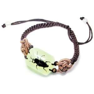  YL03 Real Bug Bracelet Bamboo Weevil pack of 3: Patio, Lawn & Garden