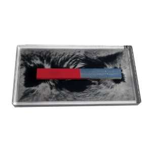 American Educational 7 1257 Magnetic Lines of Force Demonstration, 8 3 