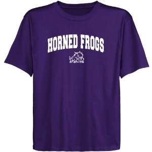   Frogs Youth Purple Logo Arch T shirt 