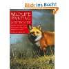   of Wildlife Step by Step  Terry Isaac Englische Bücher