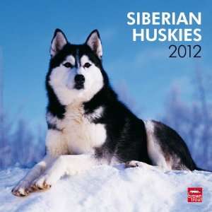 Siberian Huskies 2012: .de: Browntrout Publishers: Englische 