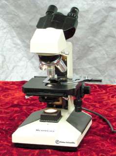 Fisher Scientific Microscope Micromaster 12 561B/Great Optics 4, 10 