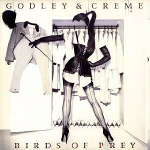 Birds of Prey [Papersleeve] Godley & Creme  Musik