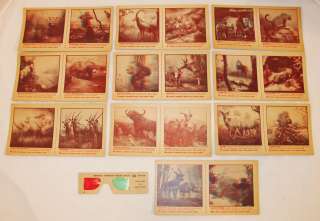 NABISCO SHREDDED WHEAT 3D WILD ANIMALS CARD SET 1950s  
