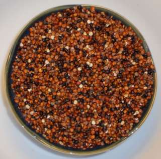 Organic Red Quinoa ~ Peruvian Rice ~ (Chenopodium quinoa) Seeds  