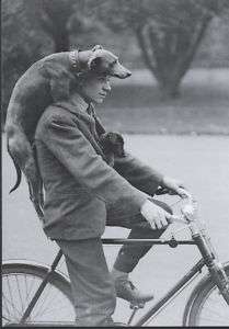 Postkarte Mann und Hunde auf dem Fahrrad  