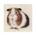 GUINEA PIG, CAVY ~ Full counted cross stitch kit + all 