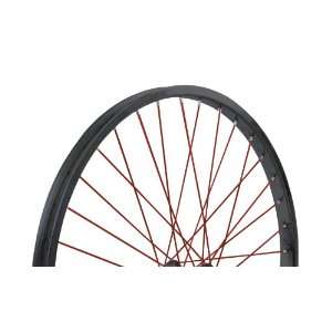 Nirve Rear Cruiser Bike Wheel (Black/Red, 26 x 1.75, 1 Speed Coaster 