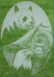 New 10x16 ENDANGERED ANIMALS WINDOW DECAL Gorilla Panda Whale Vinyl 