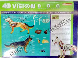 4D Vision Puzzle Animal Anatomy Model NEW Canine Dog  
