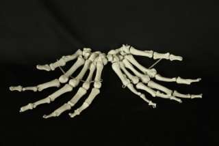Bucky Skeleton Hands Life Size Halloween Prop, NEW  