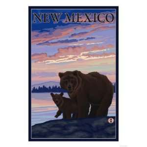Black Bear and Cub   New Mexico Premium Poster Print, 18x24