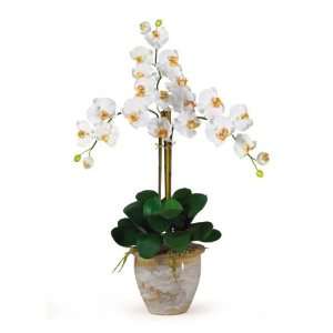 Triple Stem Phalaenopsis Silk Orchid Arrangement