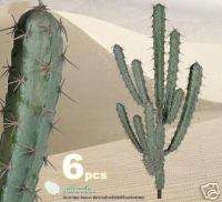 pcs 33 Artificial Finger Cactus Desert Plants 343  