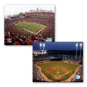 Paul Brown Stadium and Great American Ball Park , 20x16