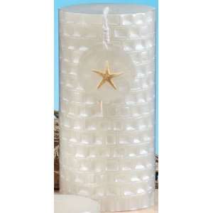  Pack of 6 Sand Dollar Unscented Pillar Candles   6 