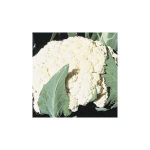   Improved Cauliflower Seed   3g Seed Packet Patio, Lawn & Garden