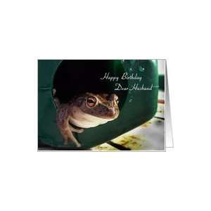  Happy Birthday Dear Husband   Frog Card: Health & Personal 