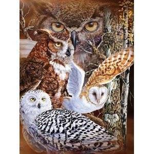 11 Owls Super Soft Plush Queen Size Blanket by Gardner