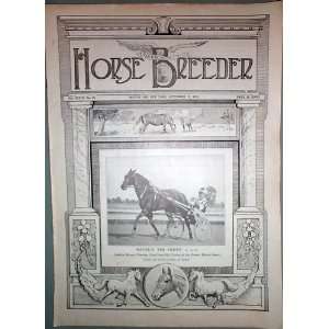  American Horse Breeder Vol. XXXVII No. 38 September 17 