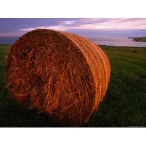  Hay Bale in Field at Sunset, South Ronaldsay, Orkney 